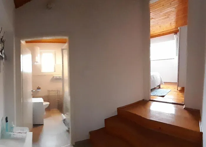 Charming Near 돈제페트레케인