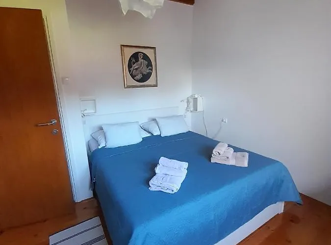 Charming Near 돈제페트레케인