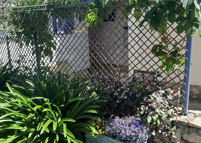 Charming Near