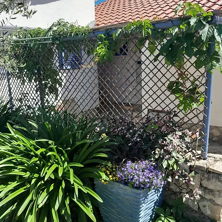 Charming Near